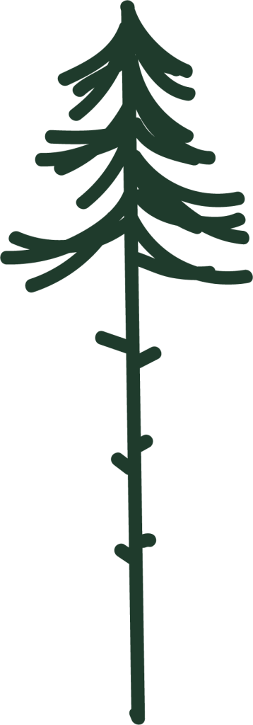 pine tree graphic